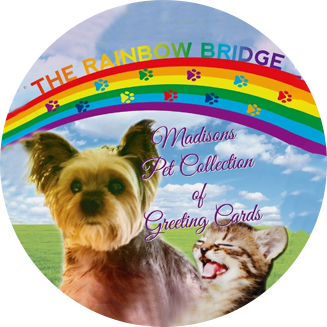 A dog and cat are sitting in front of the rainbow bridge.