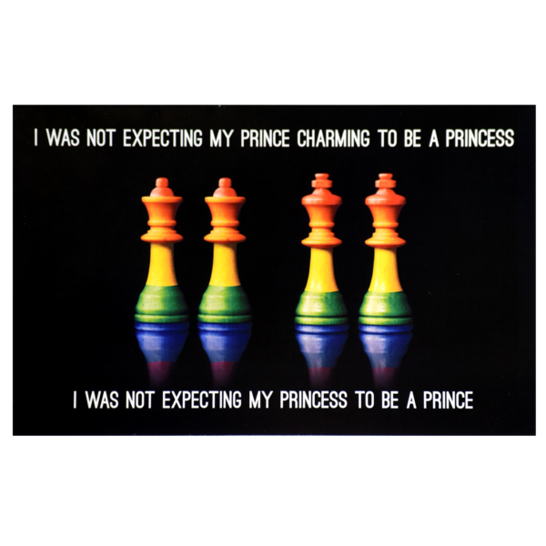 A group of chess pieces with the words " i was not expecting my prince charming to be a princess ".