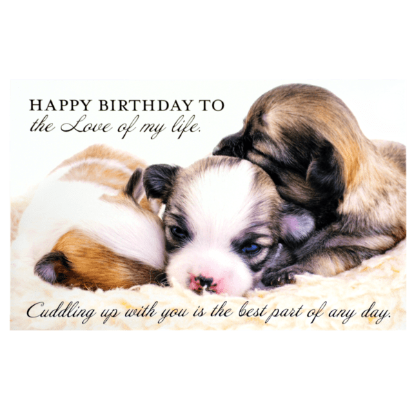 A birthday card with two puppies sleeping on top of each other.