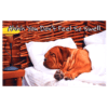 A dog is sleeping on the bed with pillows.