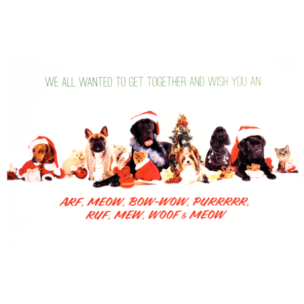 A group of dogs wearing santa hats and sitting on the ground.