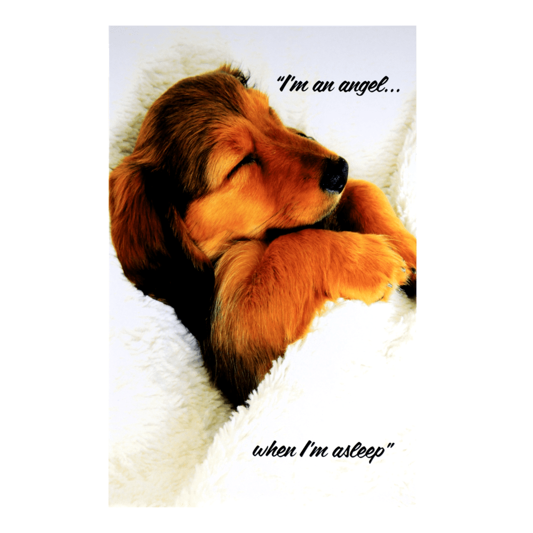 A dog is sleeping on the blanket with its head resting on his back.