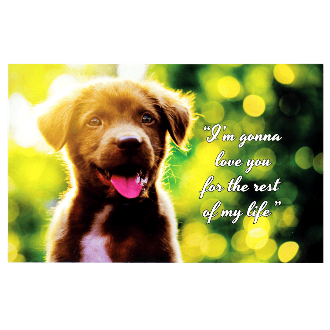 A brown dog with a pink tongue and a quote.