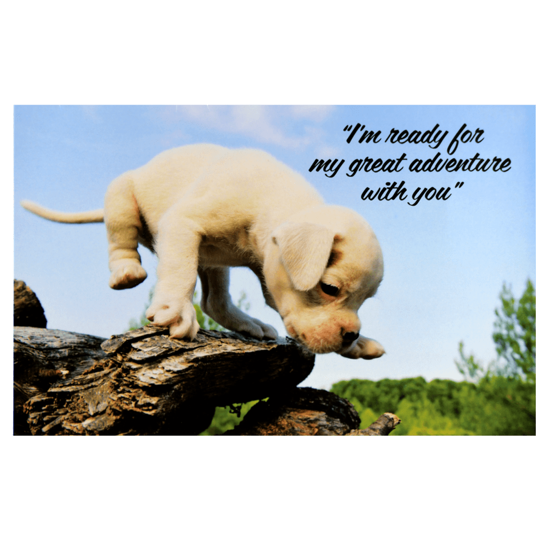 A puppy is climbing on top of a log.