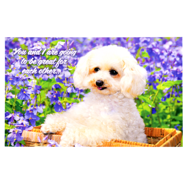 A white dog sitting in front of purple flowers.