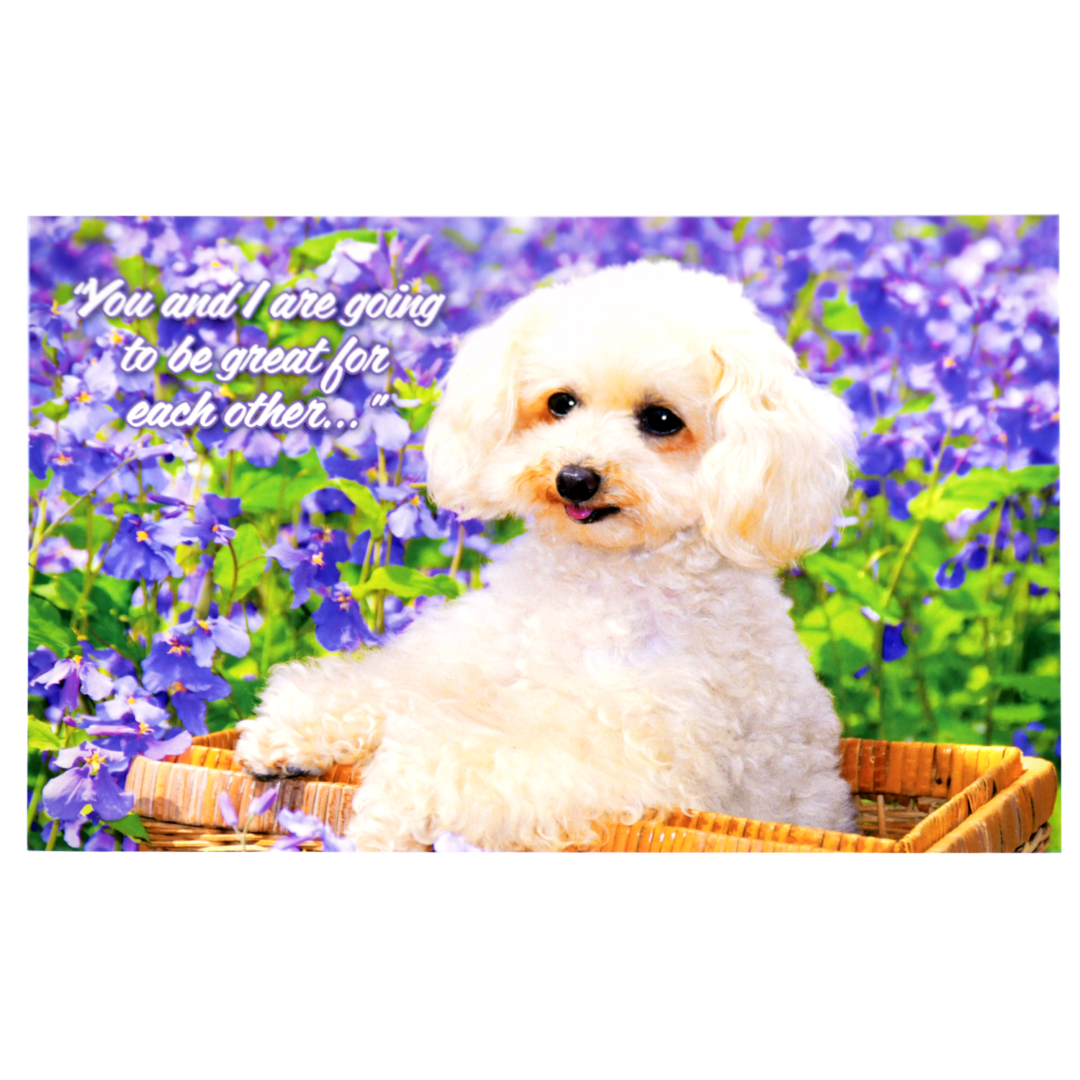 A white dog sitting in front of purple flowers.