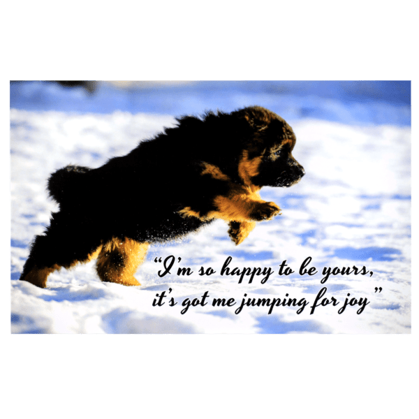 A dog jumping in the air with a quote.