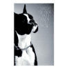 A black and white dog with a collar on.
