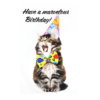 A cat wearing a party hat and a bow tie.