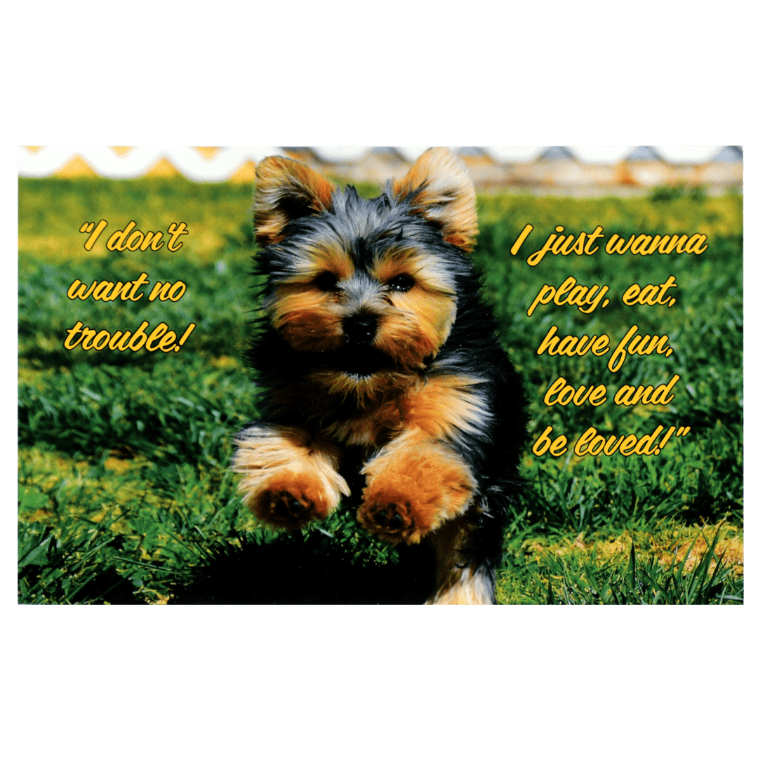 A puppy sitting in the grass with a quote.