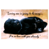 A black cat laying on its back with the words " loving me is going to be easy, i 'm in love with you already ".