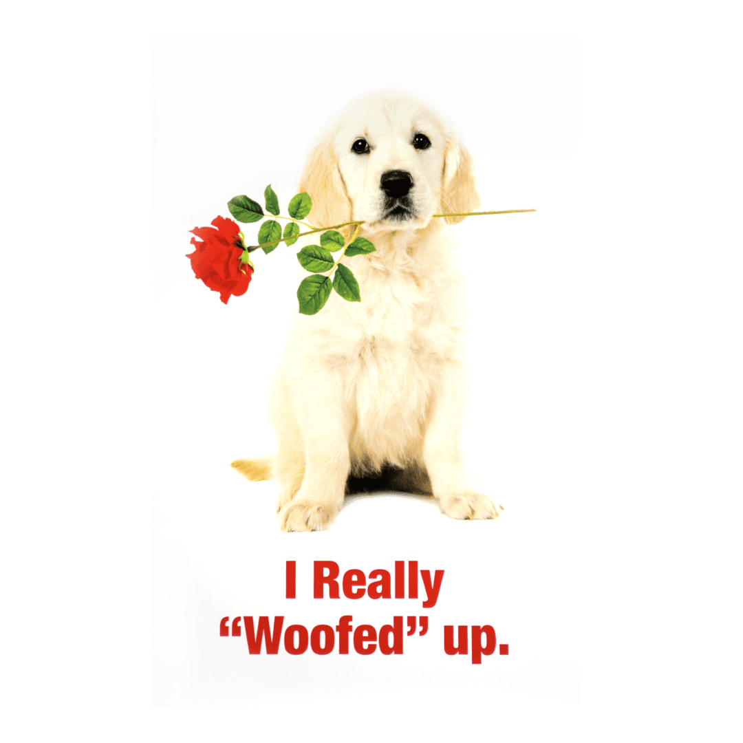 A dog holding a rose in its mouth with the words " i really woofed up ".