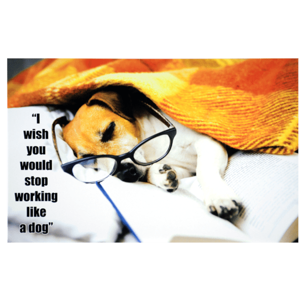 A dog wearing glasses and reading a book.