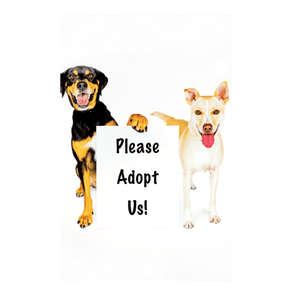 Two dogs holding a sign that says " please adopt us ".