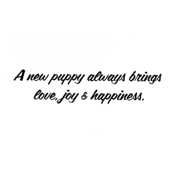 A new puppy always brings love, joy and happiness.