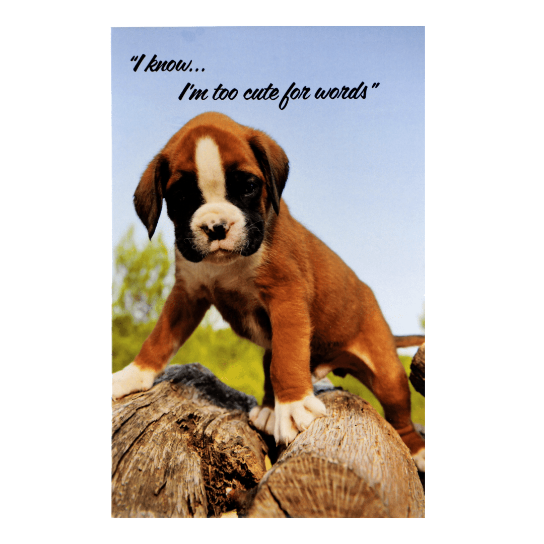 A puppy standing on top of a tree stump.