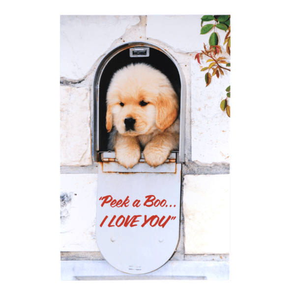 A dog sitting in the window of a house.