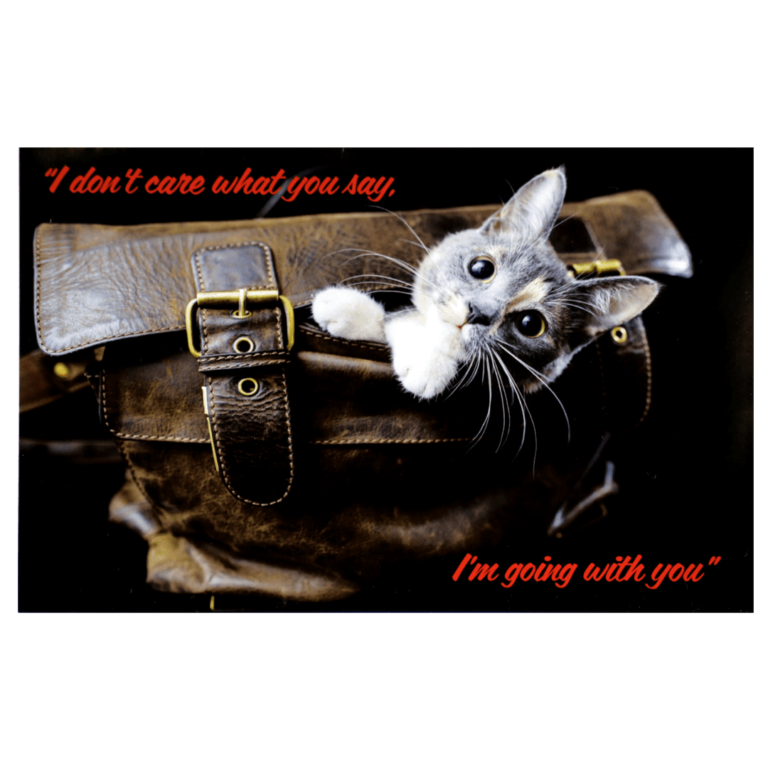 A cat is sitting in a bag with the words " i don 't care what you say, i 'm going with you ".