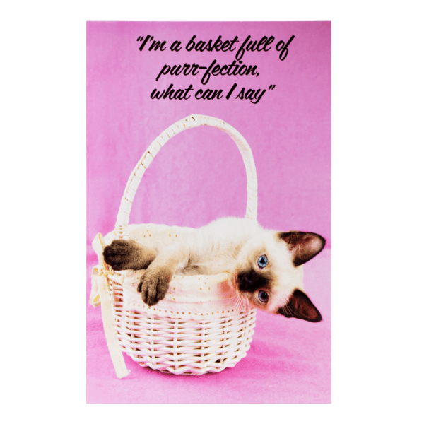 A cat is laying in a basket with the caption " i 'm a basket full of purr-fection, what can i say ?"