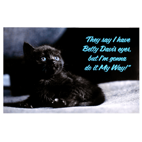 A black cat sitting on the ground with a quote.