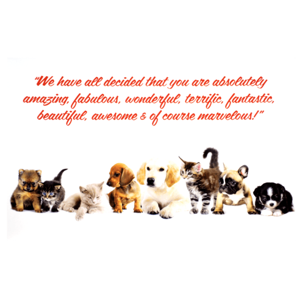 A group of cats and dogs with a quote.