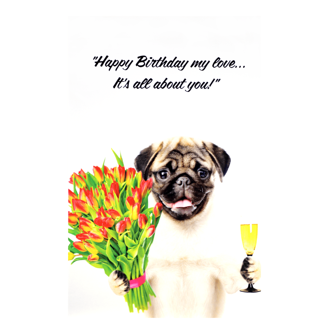 A birthday card with a pug dog holding flowers.