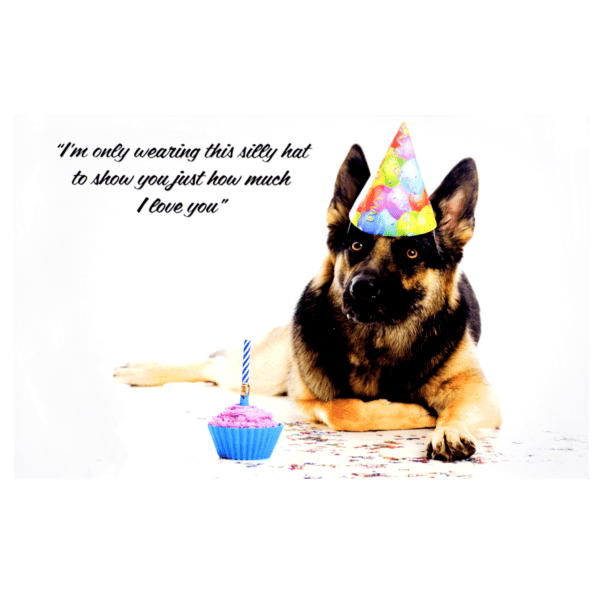 A dog wearing a birthday hat sitting next to a cupcake.