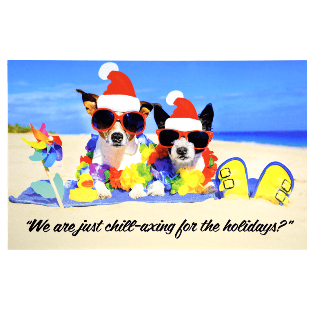 Two dogs in santa hats and sunglasses on the beach.