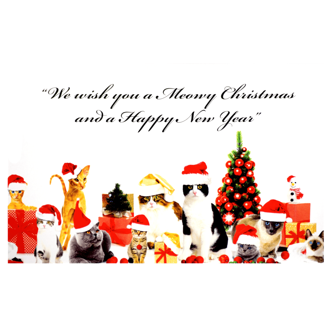 A group of cats wearing santa hats and christmas cards.