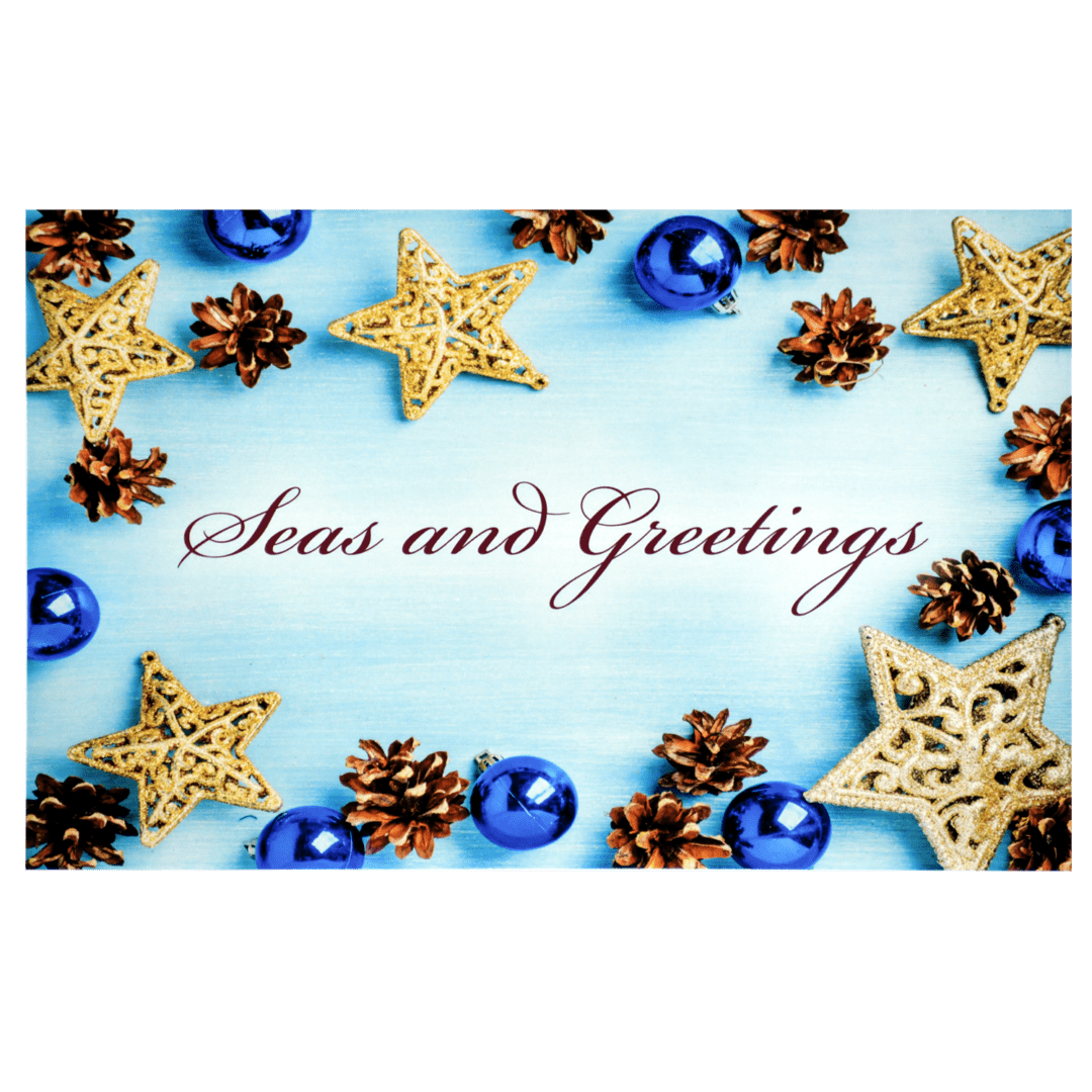 A blue and white card with christmas decorations