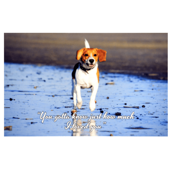 A dog running on the beach with a message.