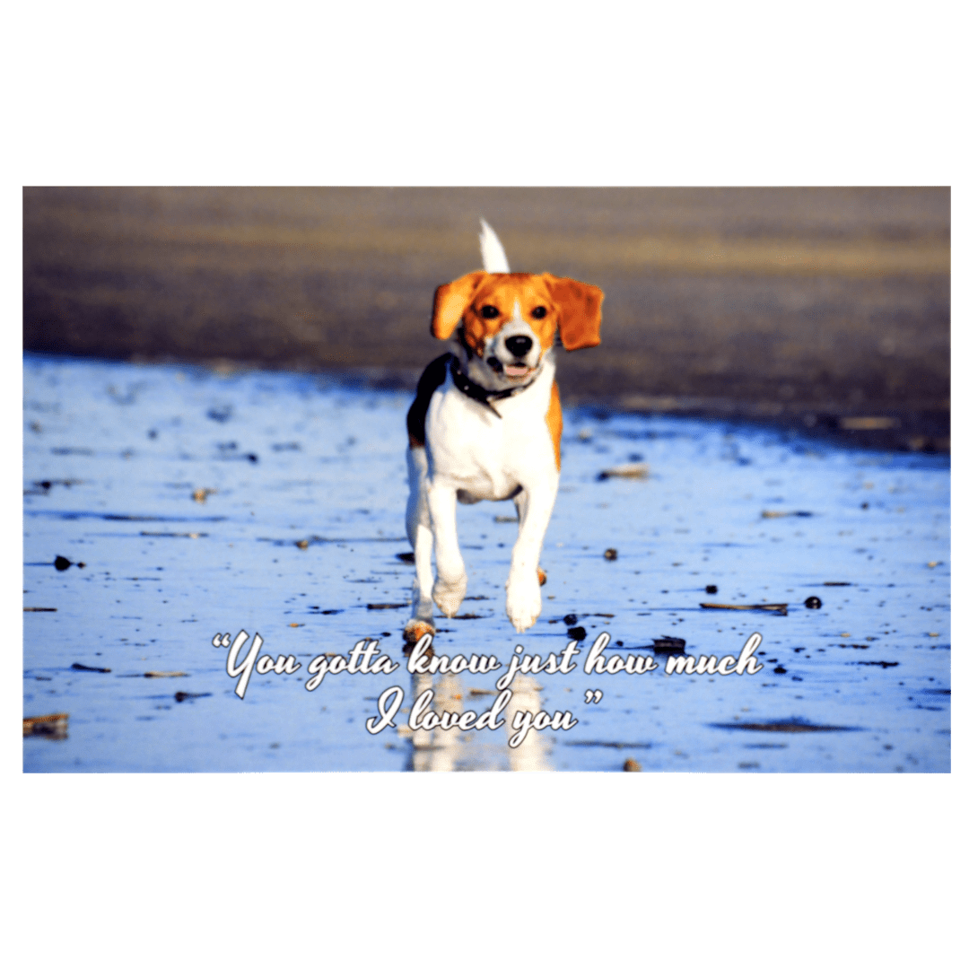 A dog running on the beach with a message.