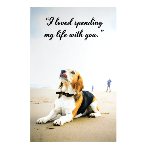 A dog sitting on the beach with a quote.