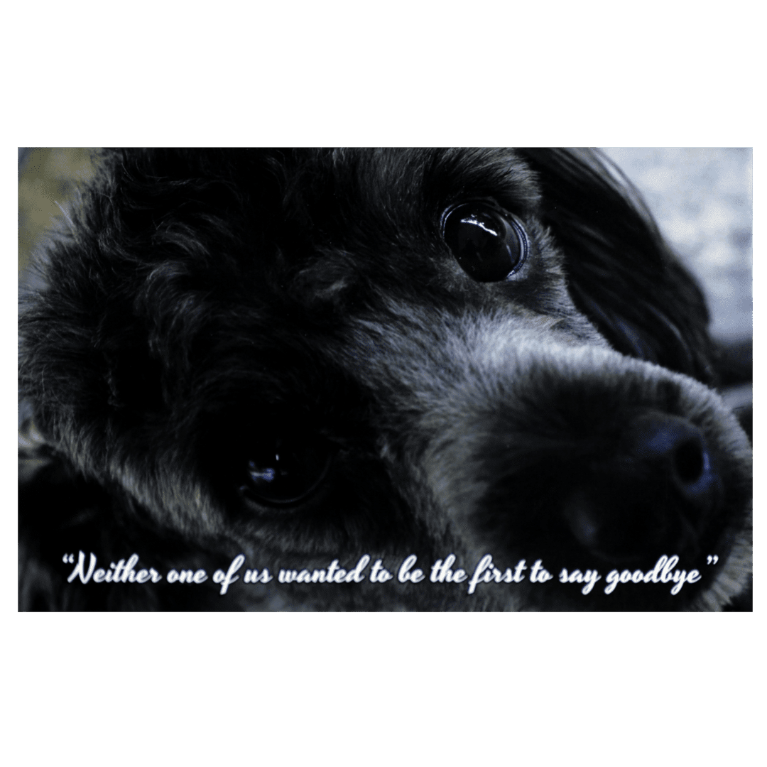 A dog with a quote on it