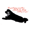 A dog laying on the ground with a quote.