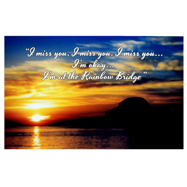 A sunset with the words " i miss you ".