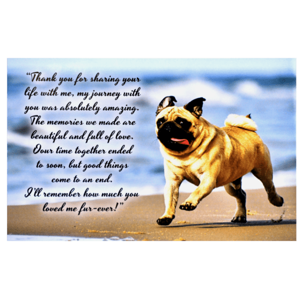 A pug dog running on the beach with a poem.