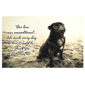 A dog sitting on top of the beach with a quote.