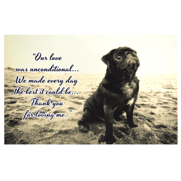 A dog sitting on top of the beach with a quote.