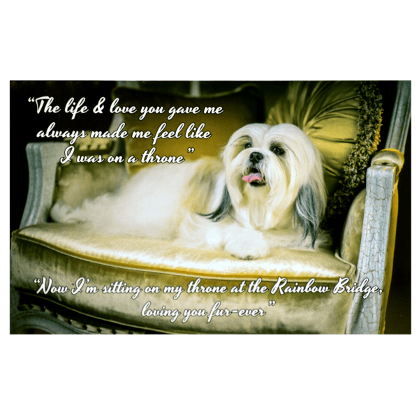 A dog sitting on top of a chair with a quote.