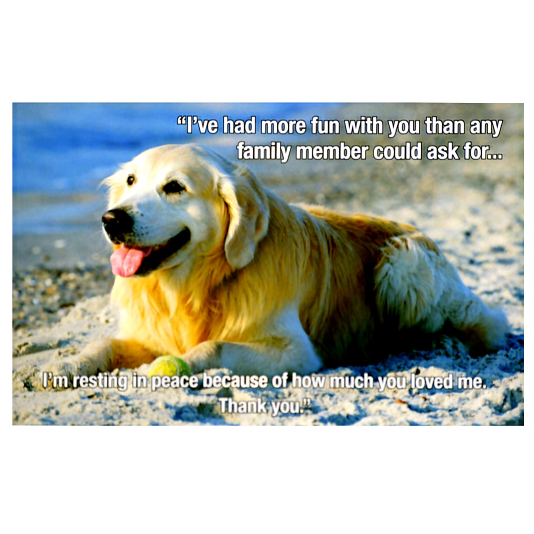 A dog laying on the beach with a quote.