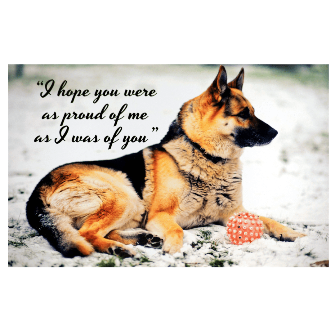 A german shepherd sitting in the snow with a quote.