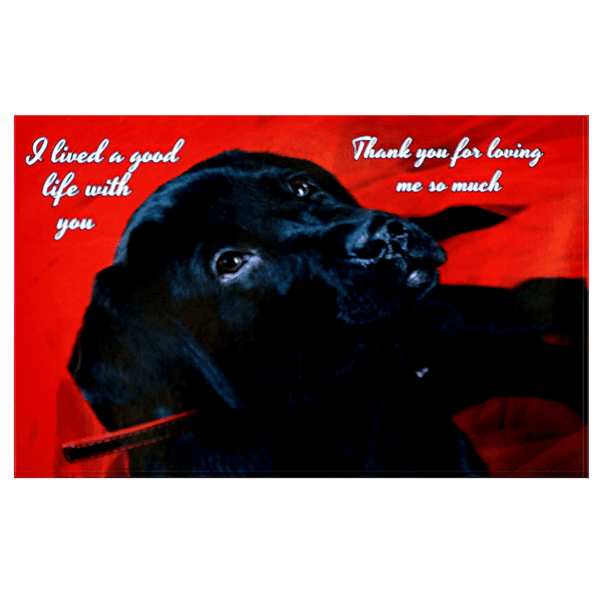 A black dog with red background and words