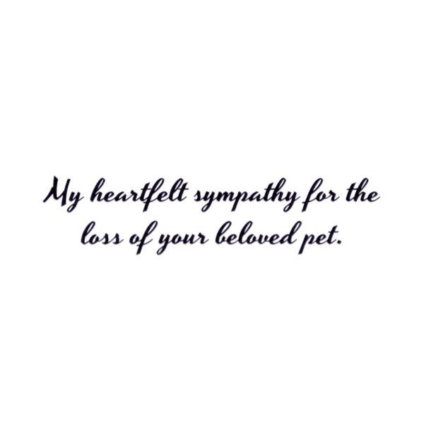 A card with the words " my heartfelt sympathy for the loss of your beloved pet ".