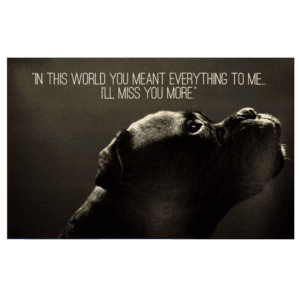 A dog with a quote on it.