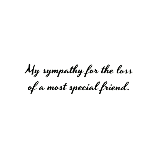 A card with the words " my sympathy for the loss of a most special friend ".