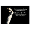 A cat with a quote on it's back.