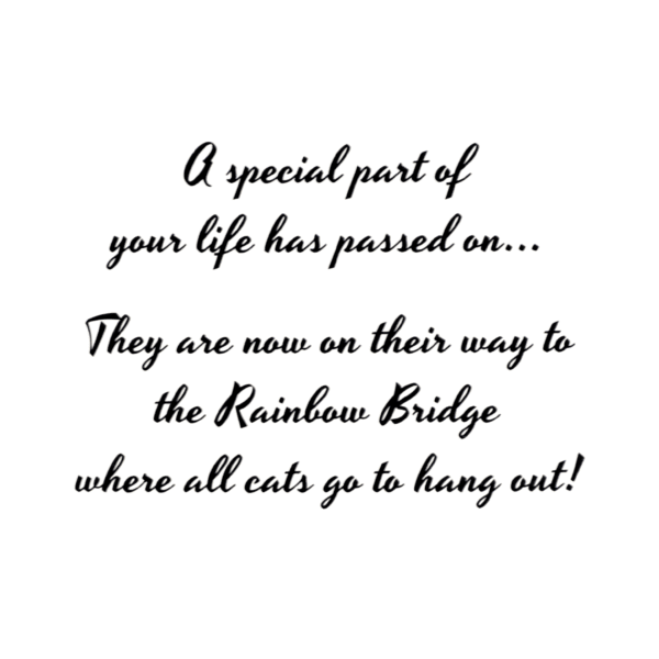 A special part of your life has passed on. They are now on their way to the rainbow bridge where all cats go to hang out !