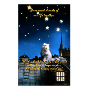 A cat sitting on top of a building under the stars.