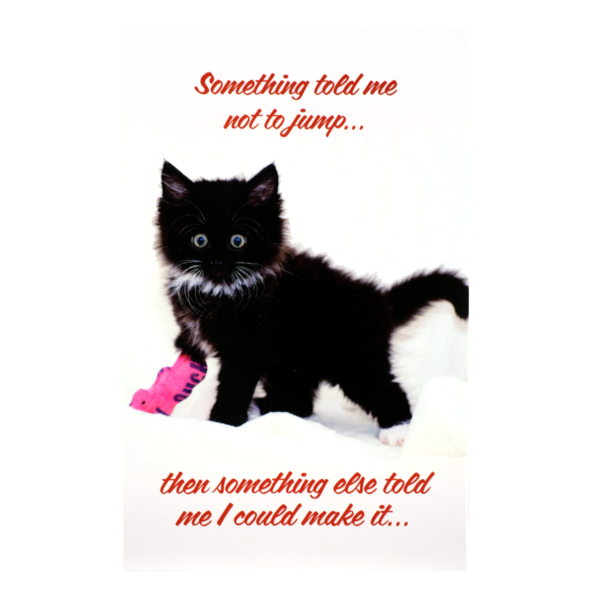 A black cat with pink shoe and quote